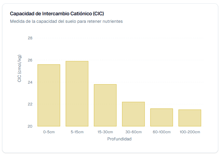Suelo: Capacidad de intercambio catiónico